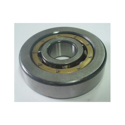 rodamiento primario caja cambios