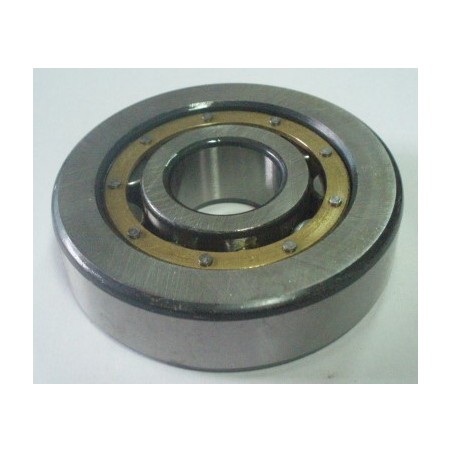 rodamiento primario caja cambios