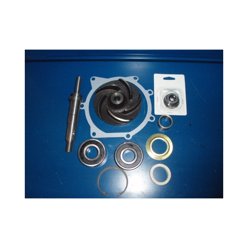 JUEGO REPARACIÓN BOMBA AGUA